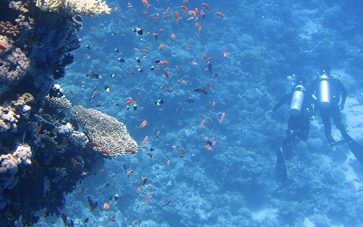 Concierge assisting a guest with scuba diving gear at a Mexico Grand Hotels resort.