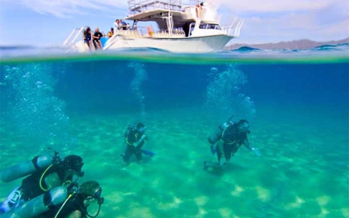 snorkeling adventure in the clear turquoise waters of Cabo San Lucas